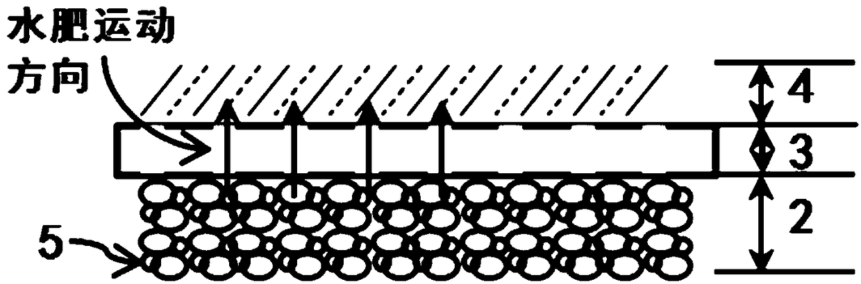 Seedling growing bed constructed with water-fertilizer carrier and diskless seedling growing method