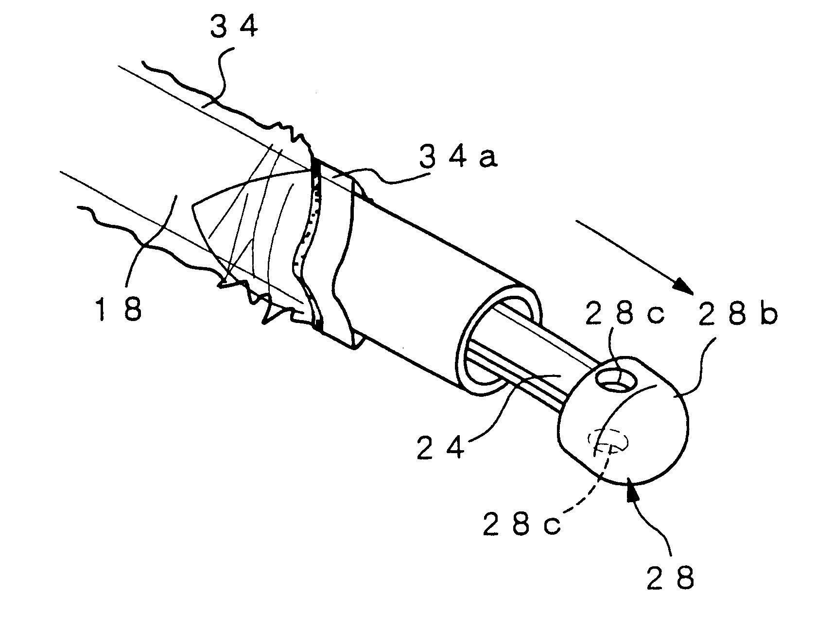 Injector of sperm for artificial insemination or fertilized ovum for transplantation of domestic animal and method of operating thereof