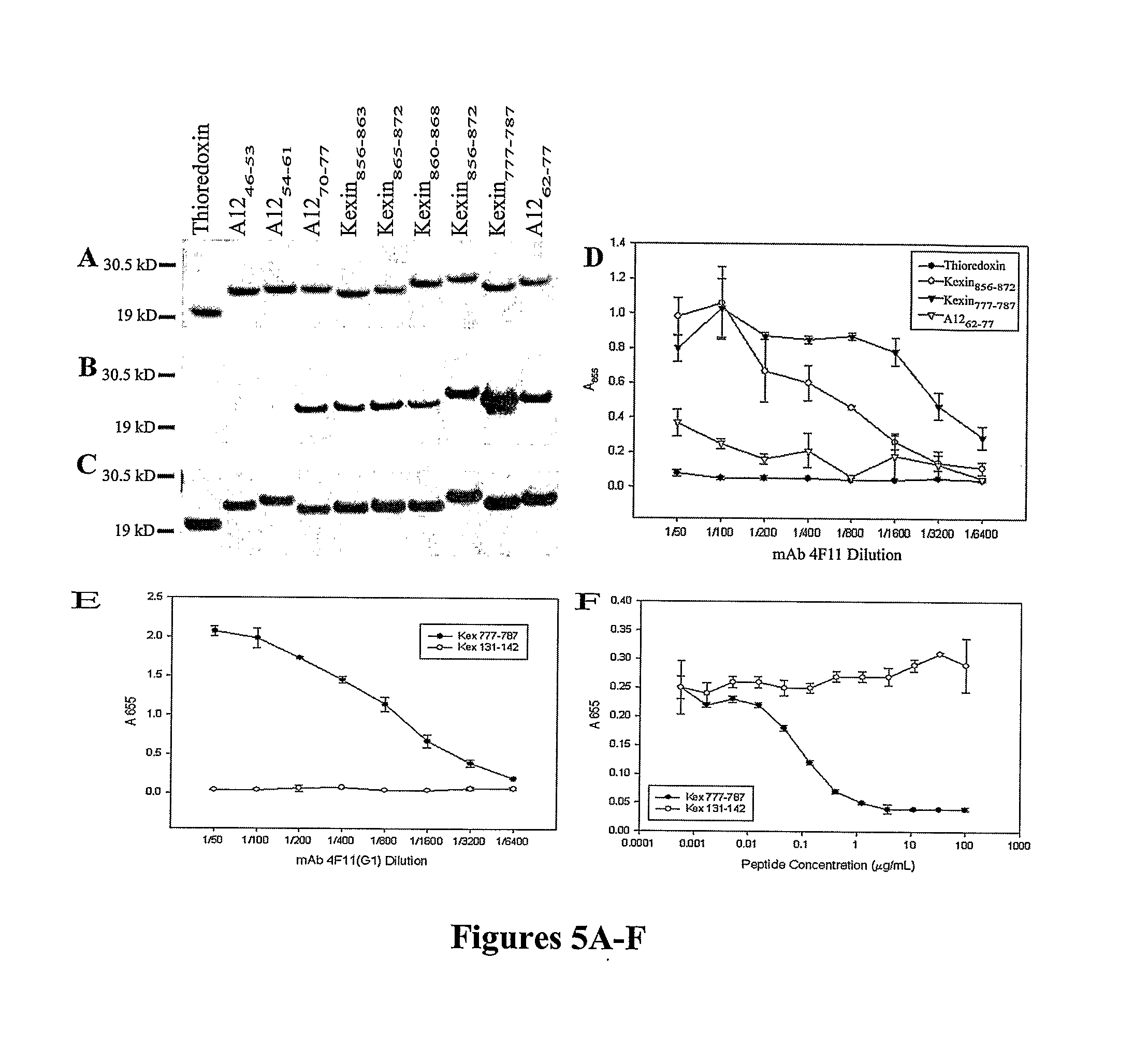 Polypeptides And Immunogenic Conjugates Capable of Inducing Antibodies Against Pathogens, and Uses Thereof