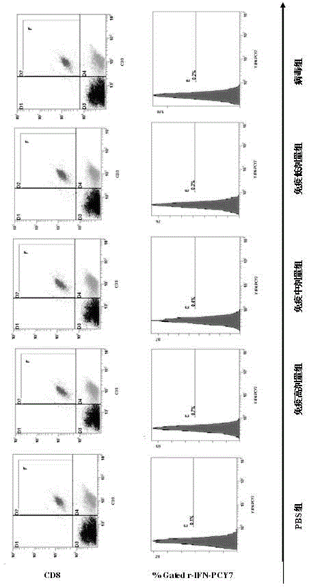 Bivalent vaccine for hemorrhagic fever with renal syndrome and its preparation method