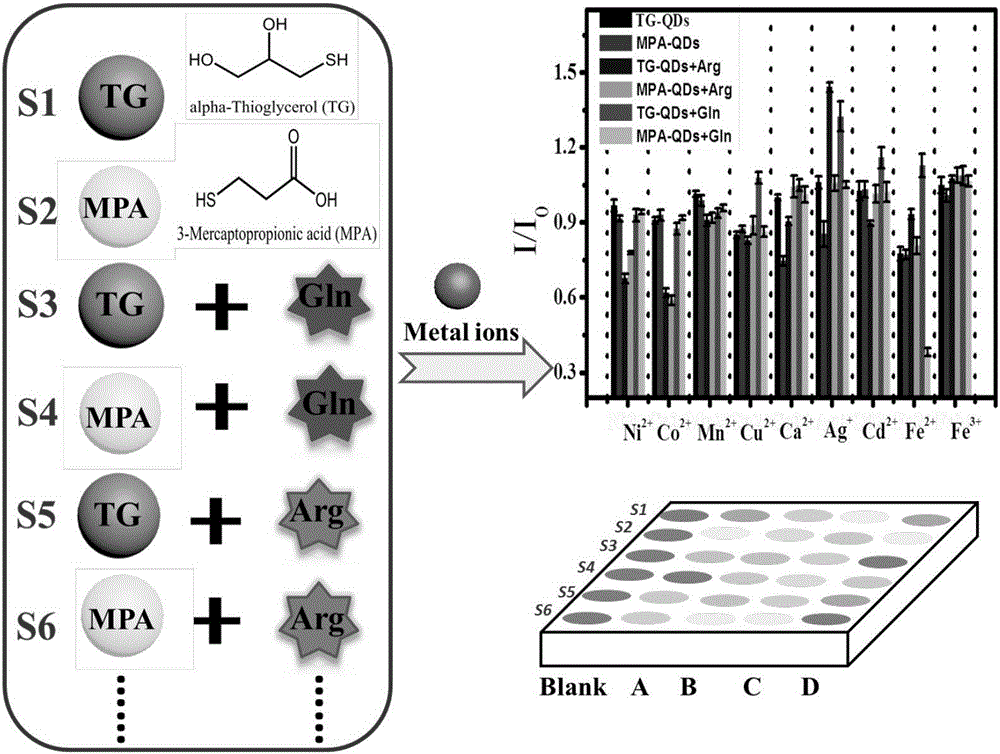 Detection method for metal ions by amino acid regulated quantum dot fluorescent array sensor