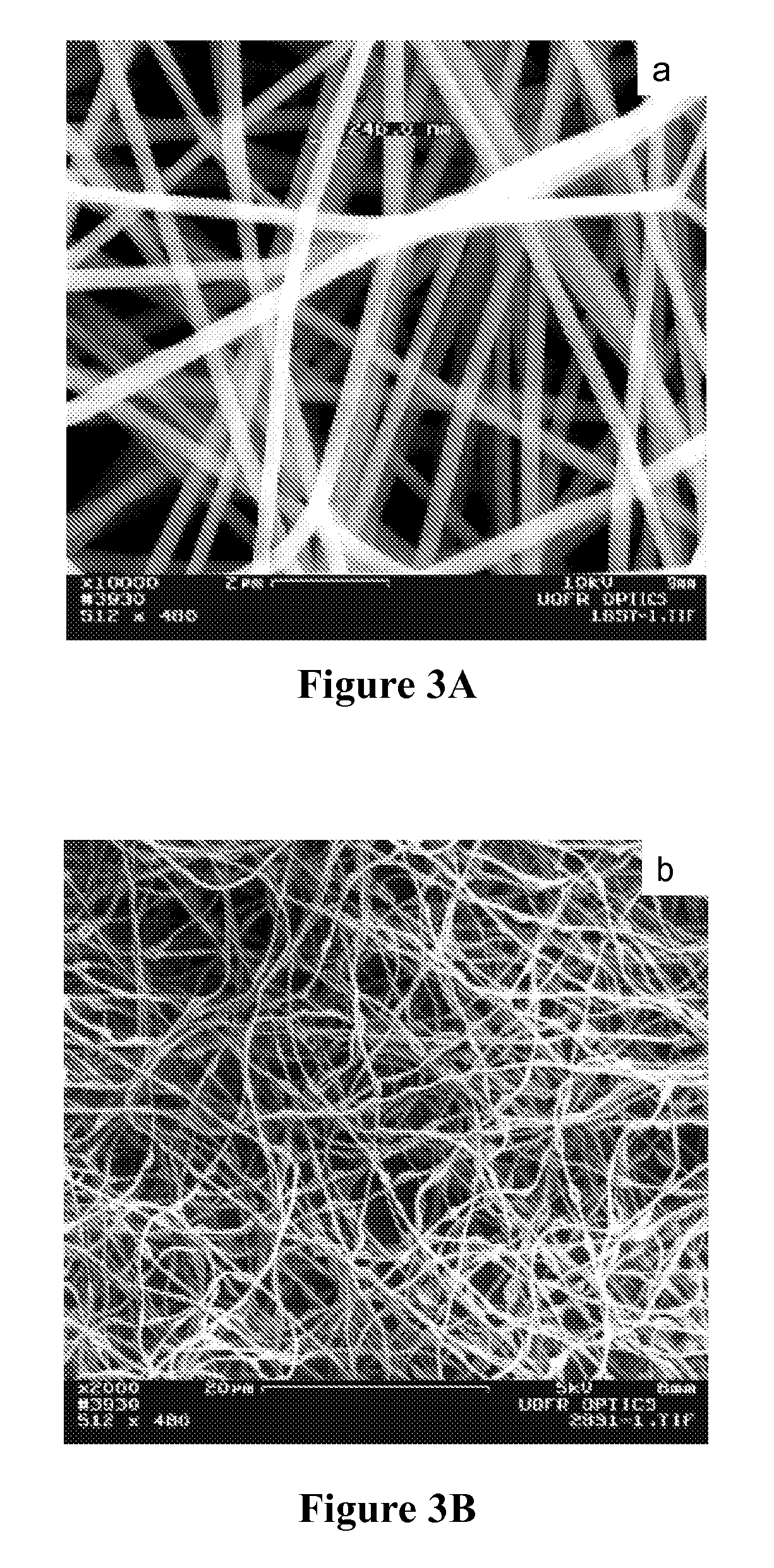 Long metallic nanowires, methods of making, and use thereof in proton exchange membrane fuel cell
