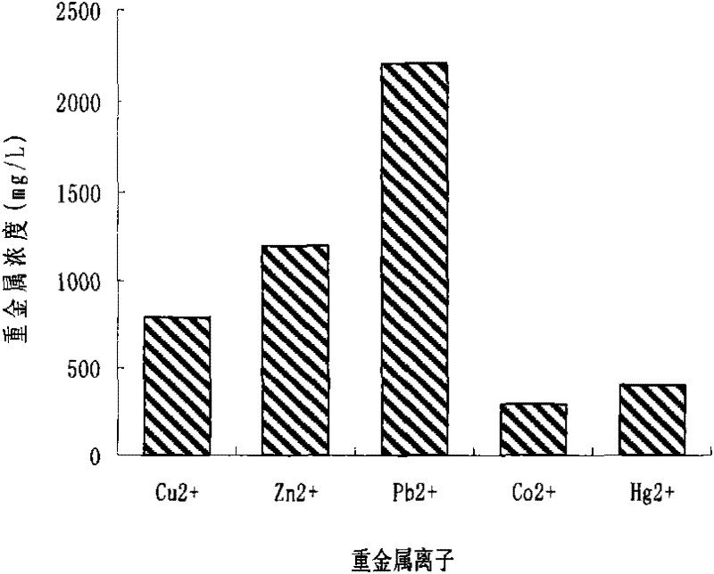 Acinetobacter and application thereof in biological treatment of heavy metal ions