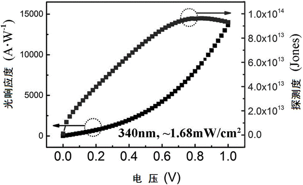 Ultraviolet light detector based on porous GaN and preparation method of ultraviolet light detector