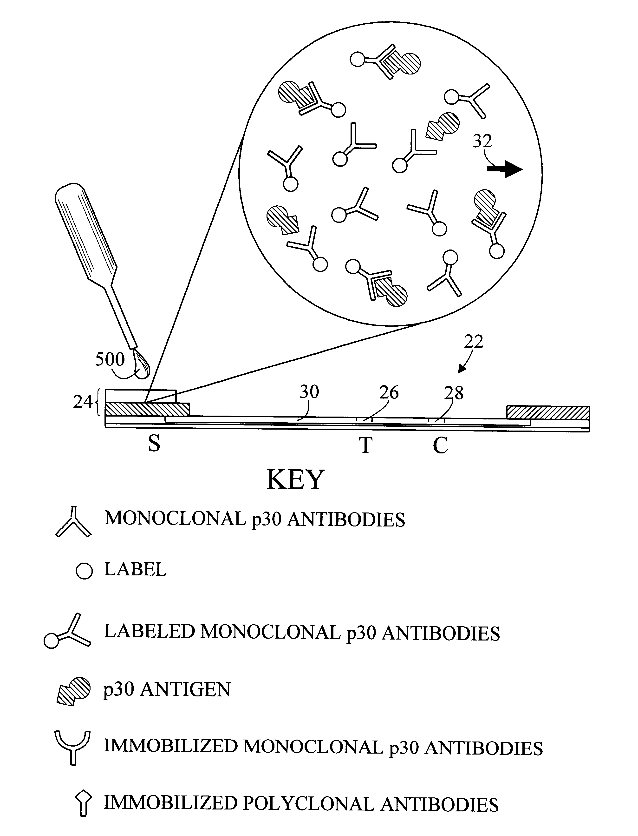 Test device for detecting semen and method of use