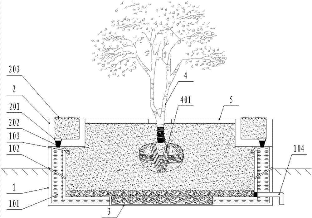Street tree pool for greening