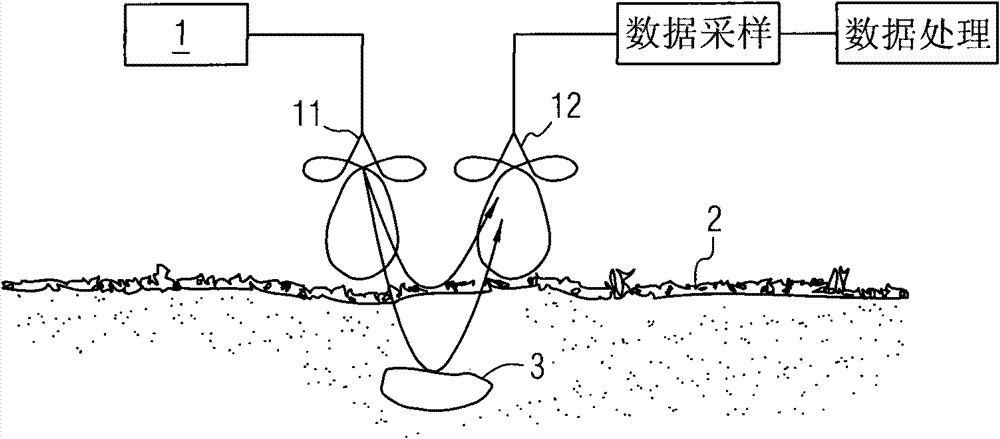 Method for measuring diameter of plant underground roots by using ground penetrating radar