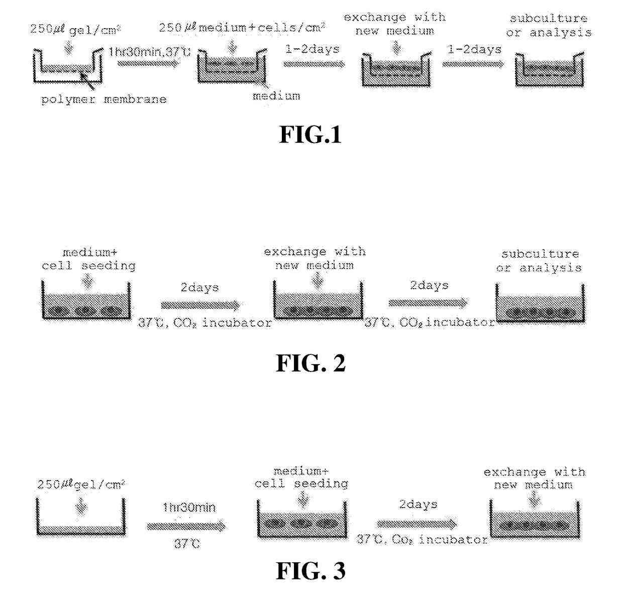 Three-dimensional cell culture system and cell culture method using same