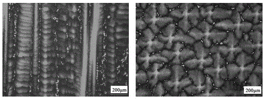 A kind of rhenium-free nickel-based single crystal superalloy and preparation method thereof