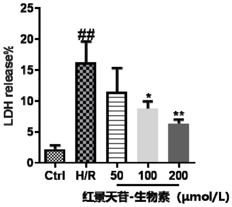 A kind of salidroside-biotin small molecule probe and its preparation method and application