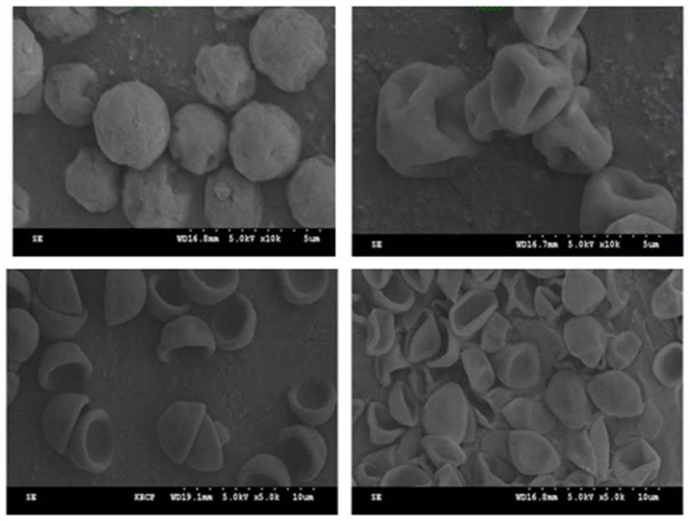 Encapsulating composition and encapsulating film with light diffusing function, and organic light-emitting device