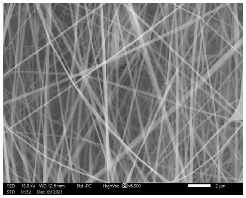 Preparation method of silk fibroin repair patch and silk fibroin repair patch