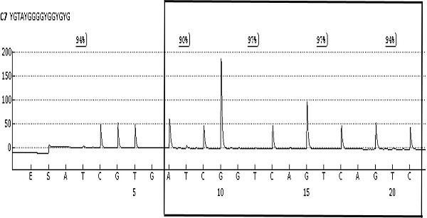 Molecular marker used for early screening cervical cancer, primer, method and kit