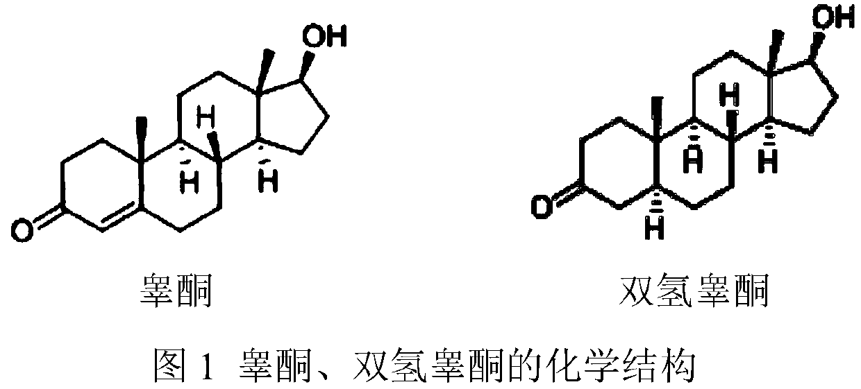 Dihydrotestosterone in-situ gel spray and preparation method thereof