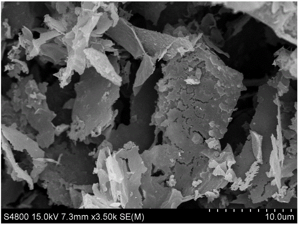 Preparation method and application of porous carbon material