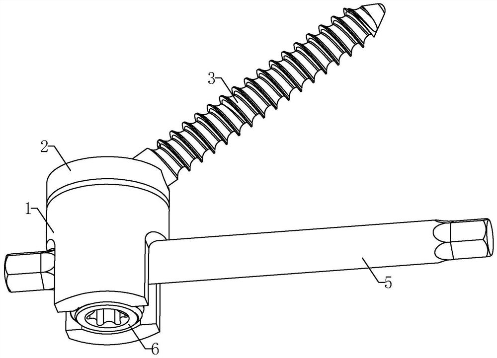 Rotatable large-angle cervical posterior cardan screw