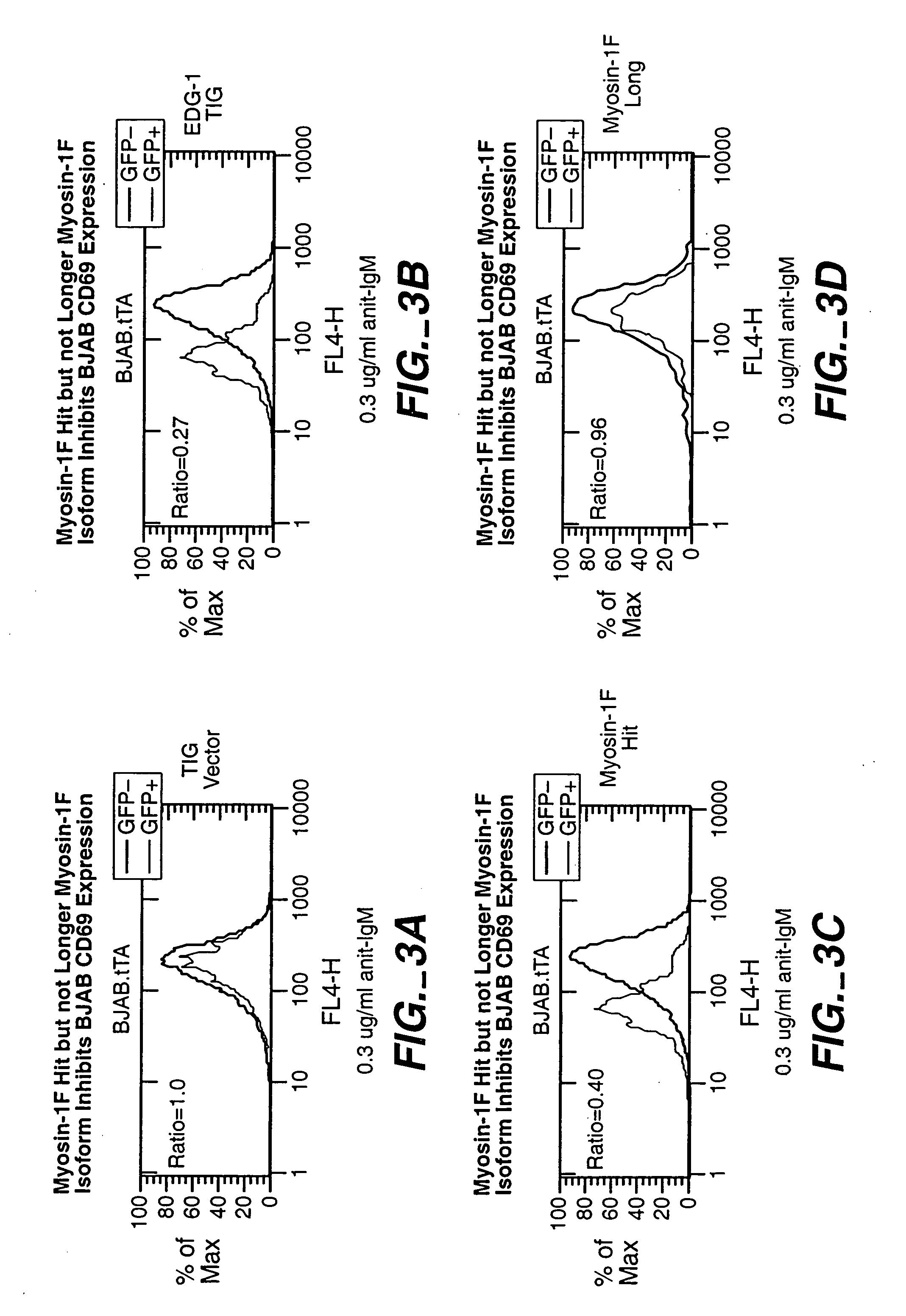 Modulators of B-lymphocyte activation, myosin-1F compositions and methods of use