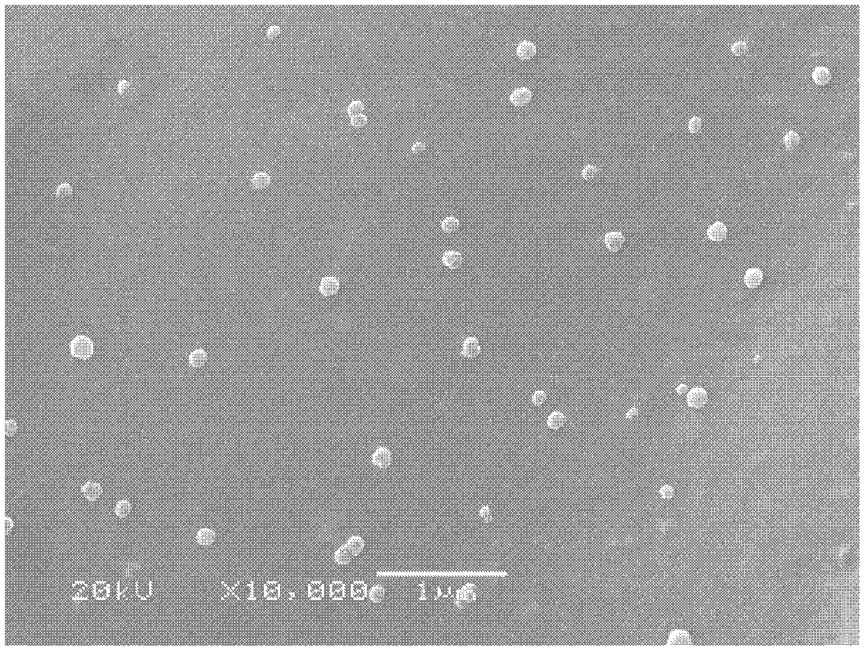 Asymmetrical polyurethane/nano TiO2 thin film wound dressing and preparation method thereof