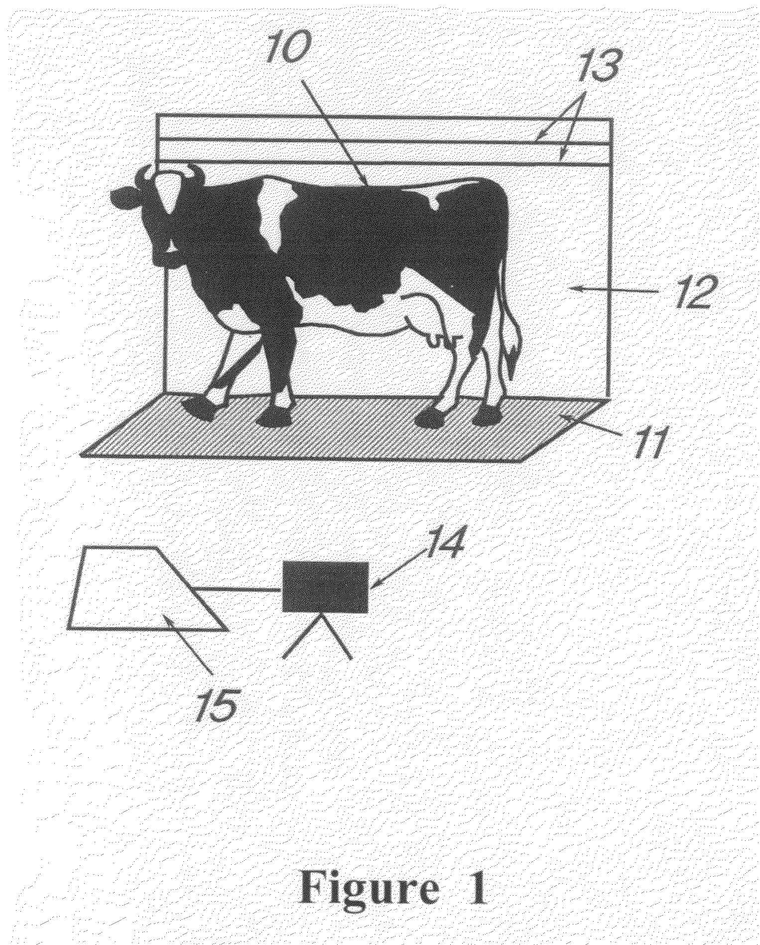 Method and a System for Measuring an Animal's Height
