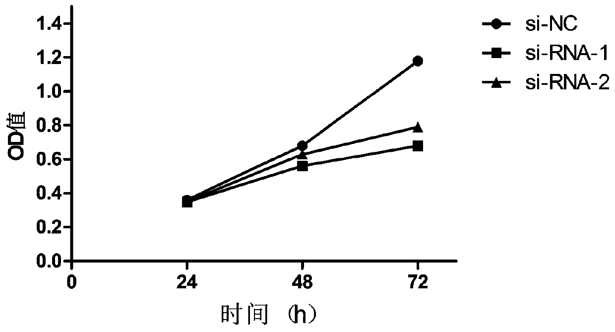 Long non-coding RNA related to melanoma and application thereof