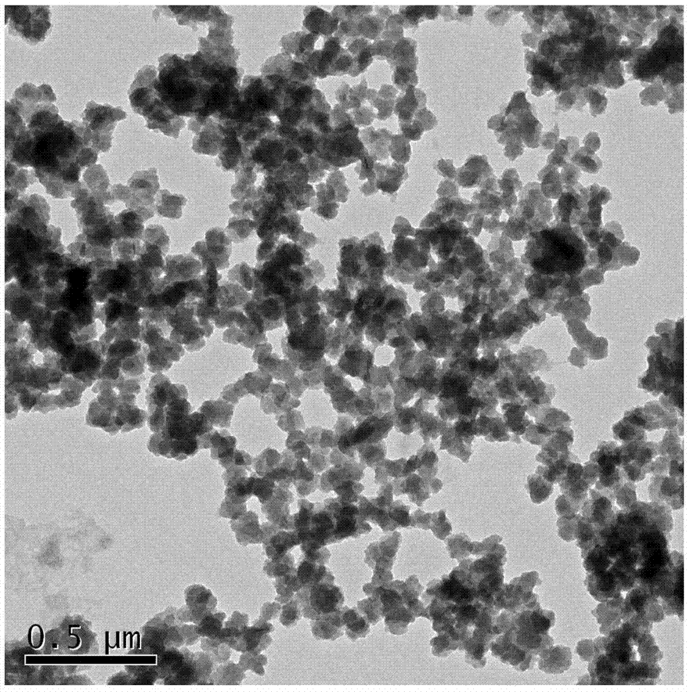 Multi-functional bismuth selenide nanocomposite and preparation method and application thereof