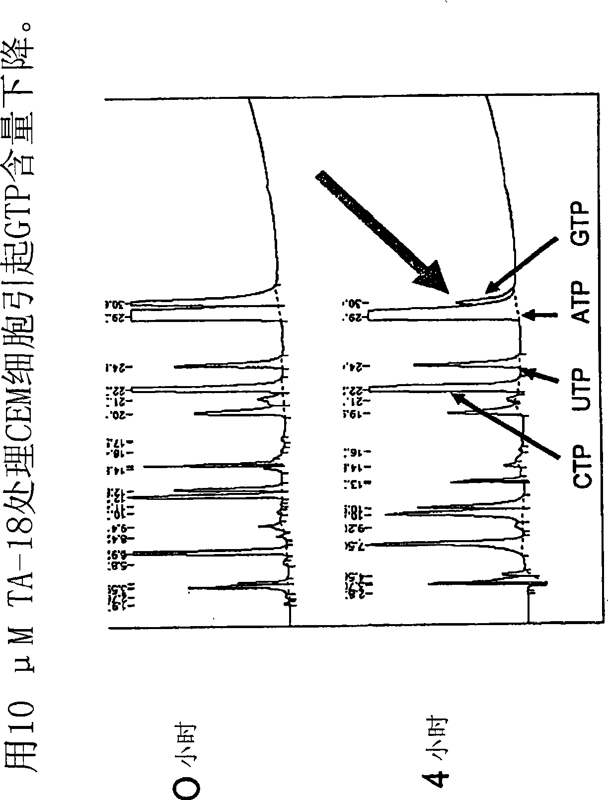 Azole nucleosides and use as inhibitors of rna and DNA varial polymerases