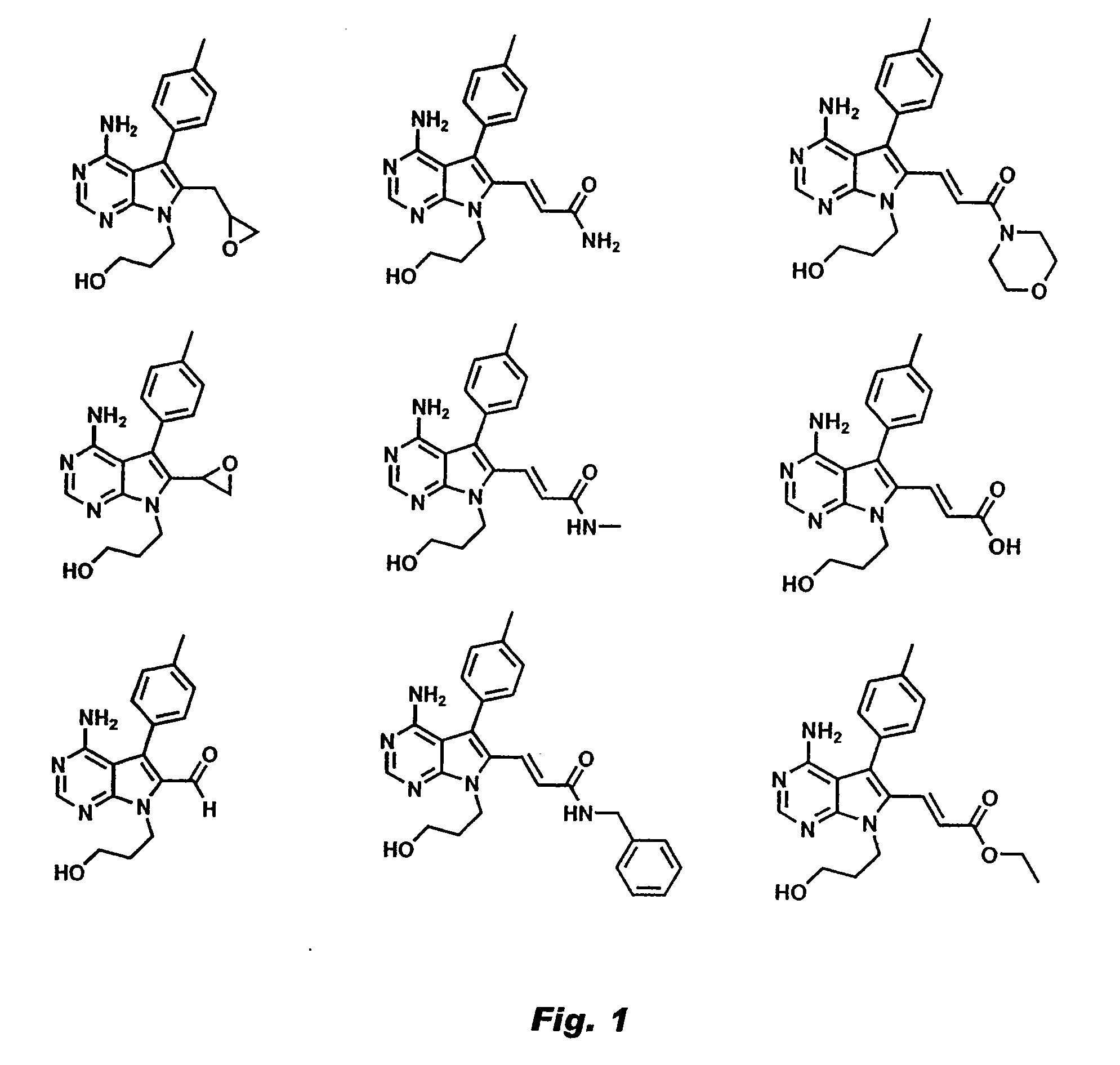 Selective serine/threonine kinase inhibitors