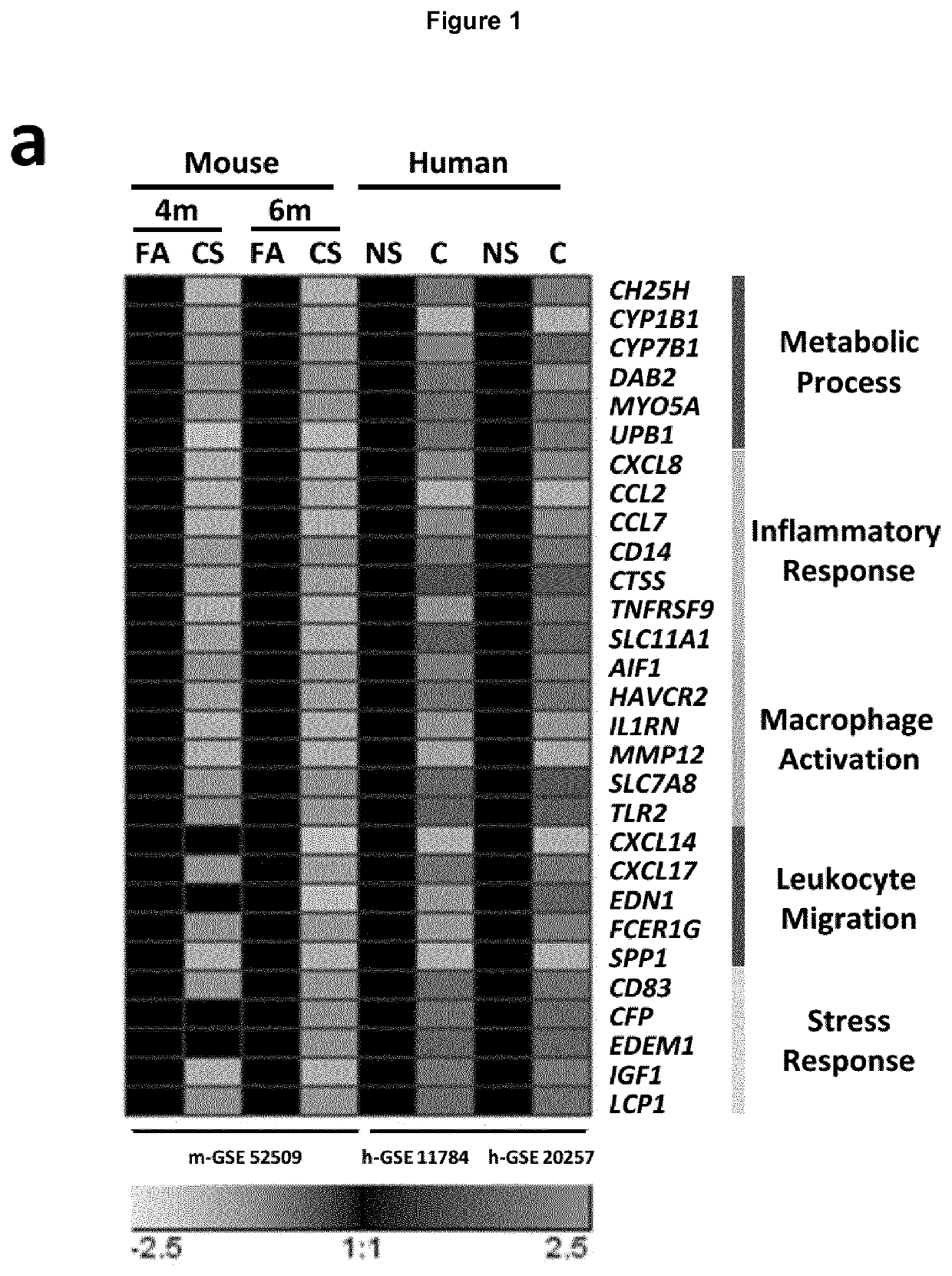 Inhibitors of cytochrome p450 family 7 subfamily b member 1 (cyp7b1) for use in treating diseases