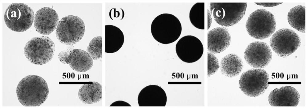 Method for in-situ preparation of titanium dioxide/cellulose nano-composite microspheres