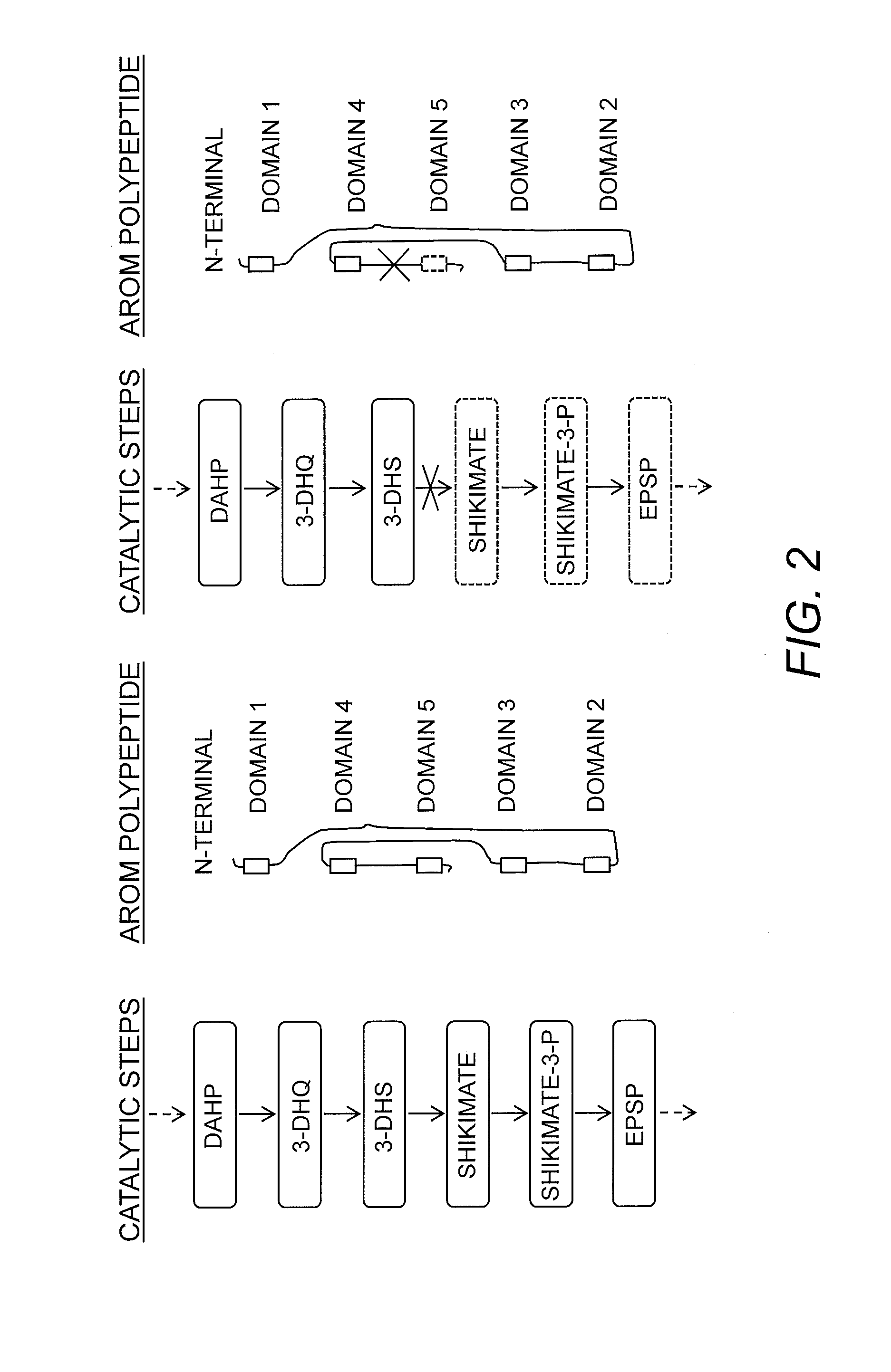 Compositions and methods for the biosynthesis of vanillan or vanillin beta-d-glucoside
