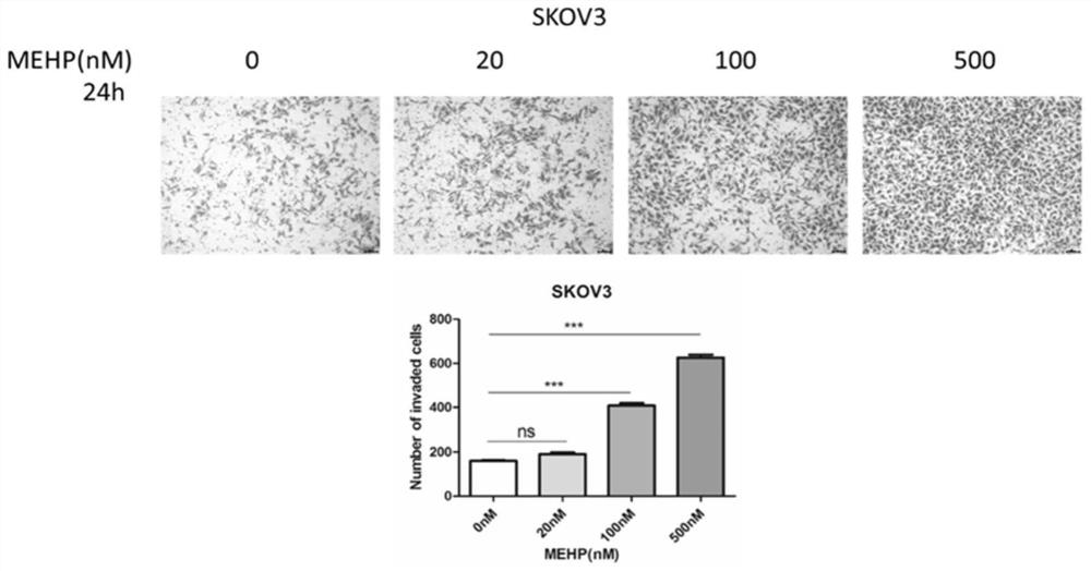 Application of long-chain non-coding rna LINC00205 in the preparation of reagents for diagnosing ovarian cancer or drugs for treating ovarian cancer