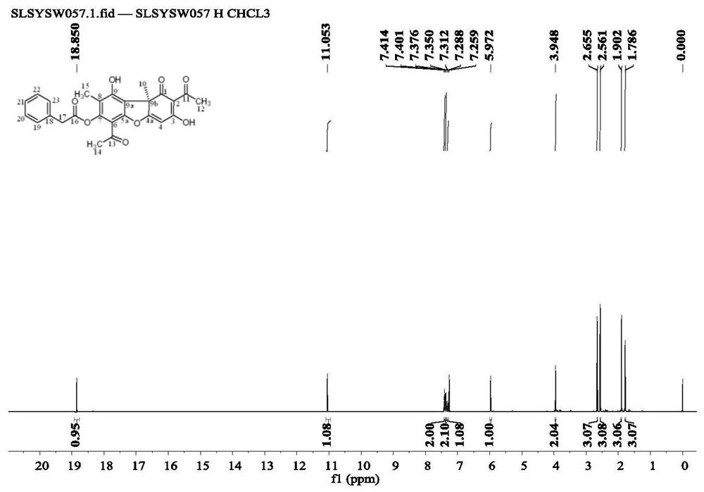 A kind of Usnea esterified derivative and its synthetic method