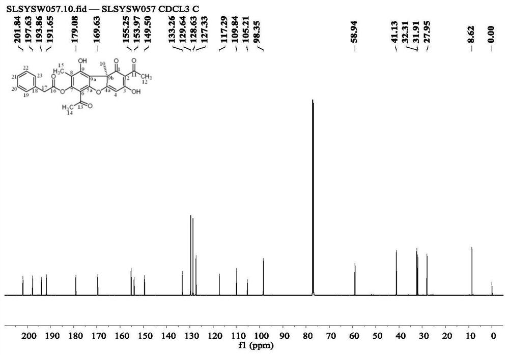 A kind of Usnea esterified derivative and its synthetic method