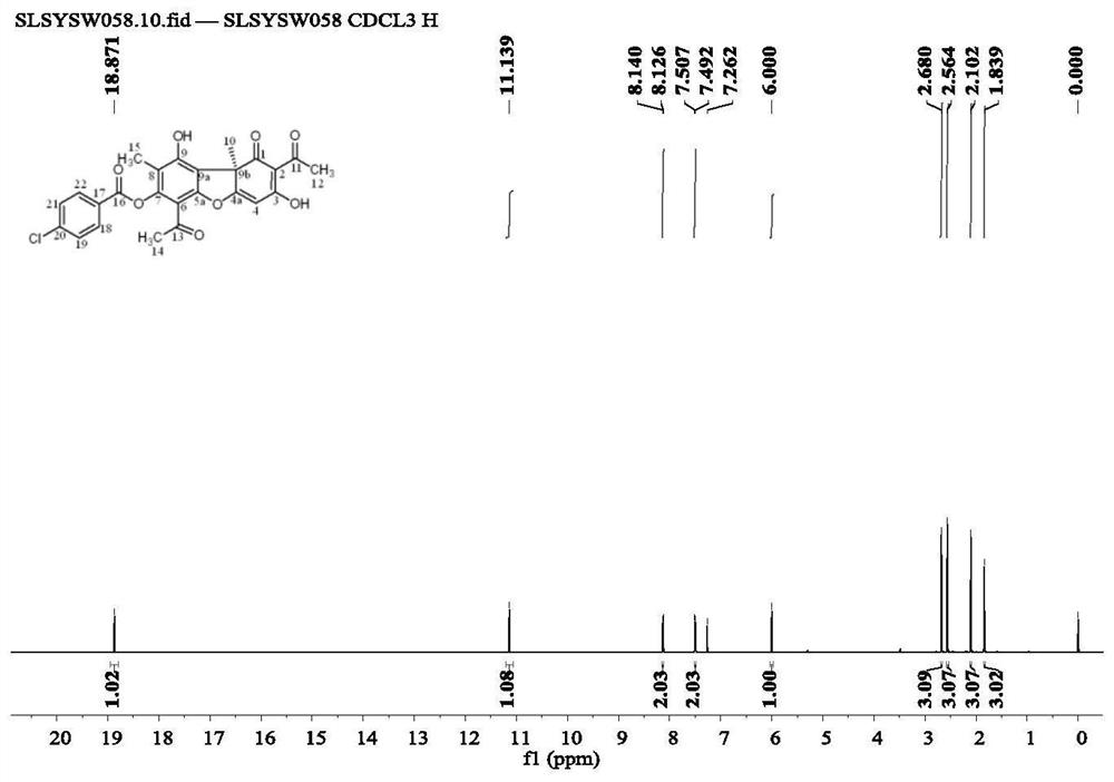 A kind of Usnea esterified derivative and its synthetic method