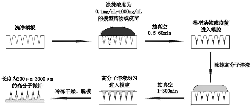 Microneedle patch convenient for administrating animal vaccine and preparation method of microneedle patch