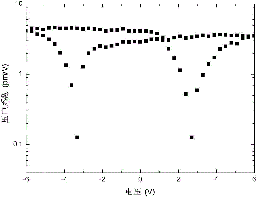 A detection method of piezoelectric coefficient