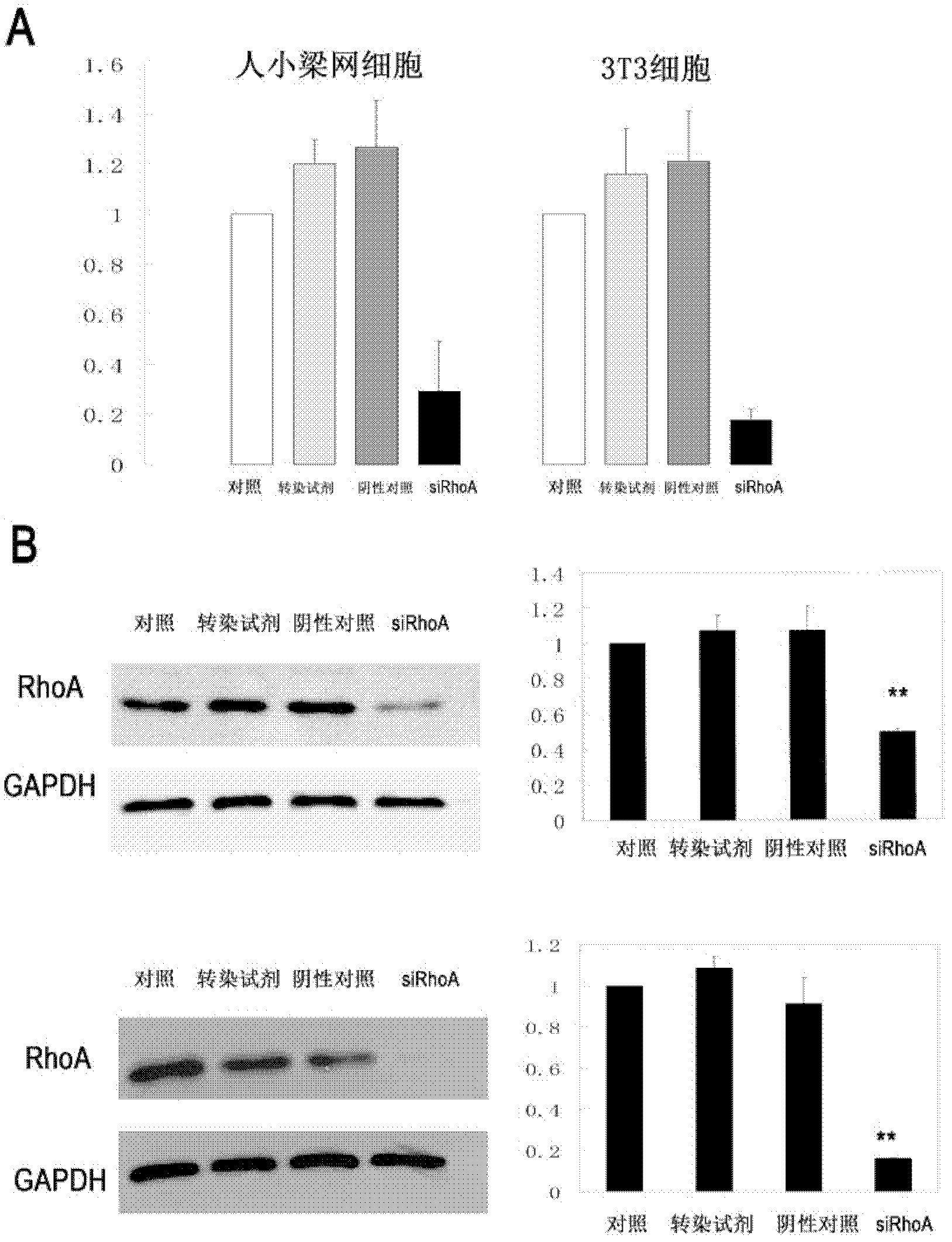 Drug for treating glaucoma