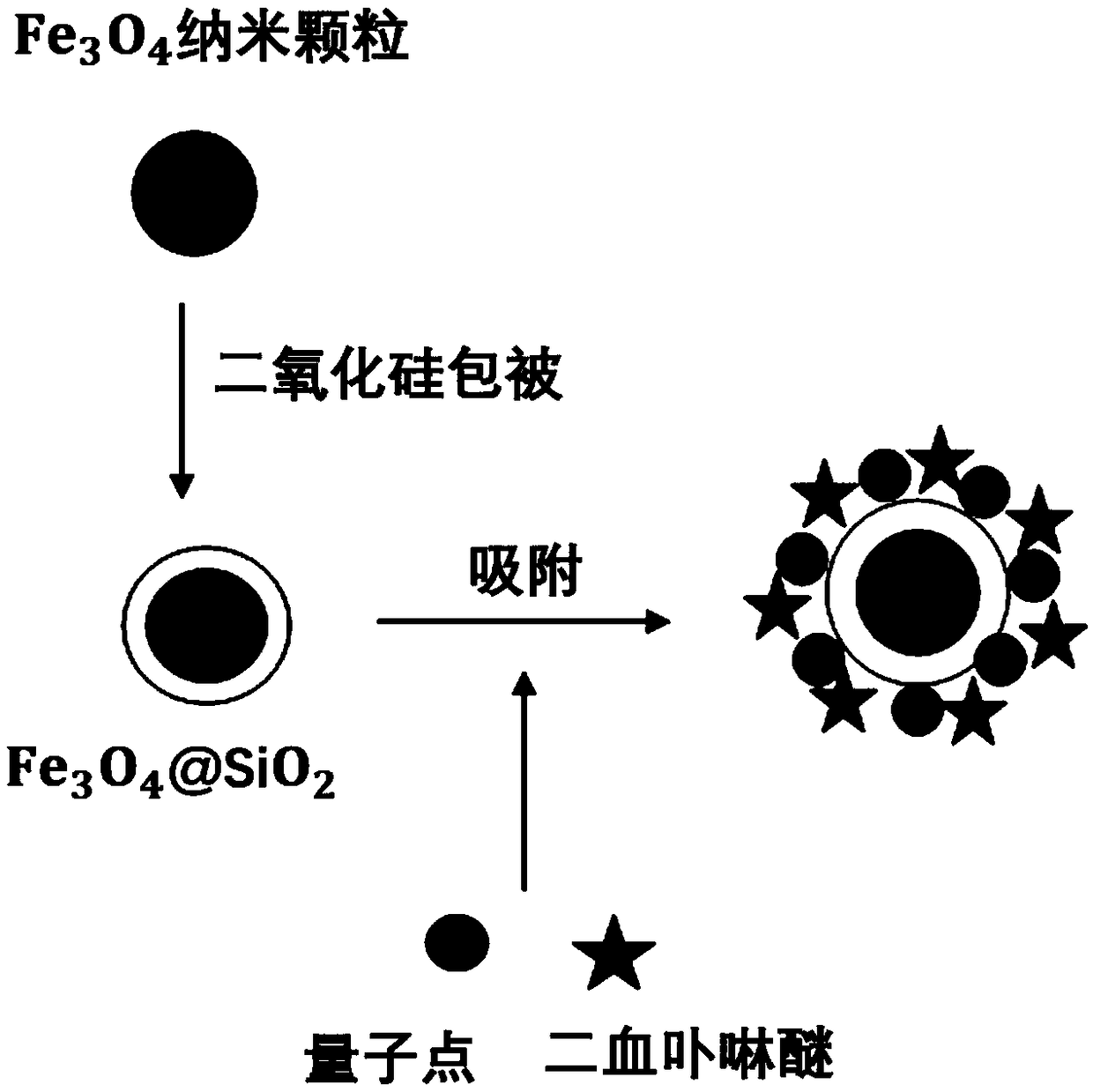 Preparation method of composite magnetic nano photosensitizer
