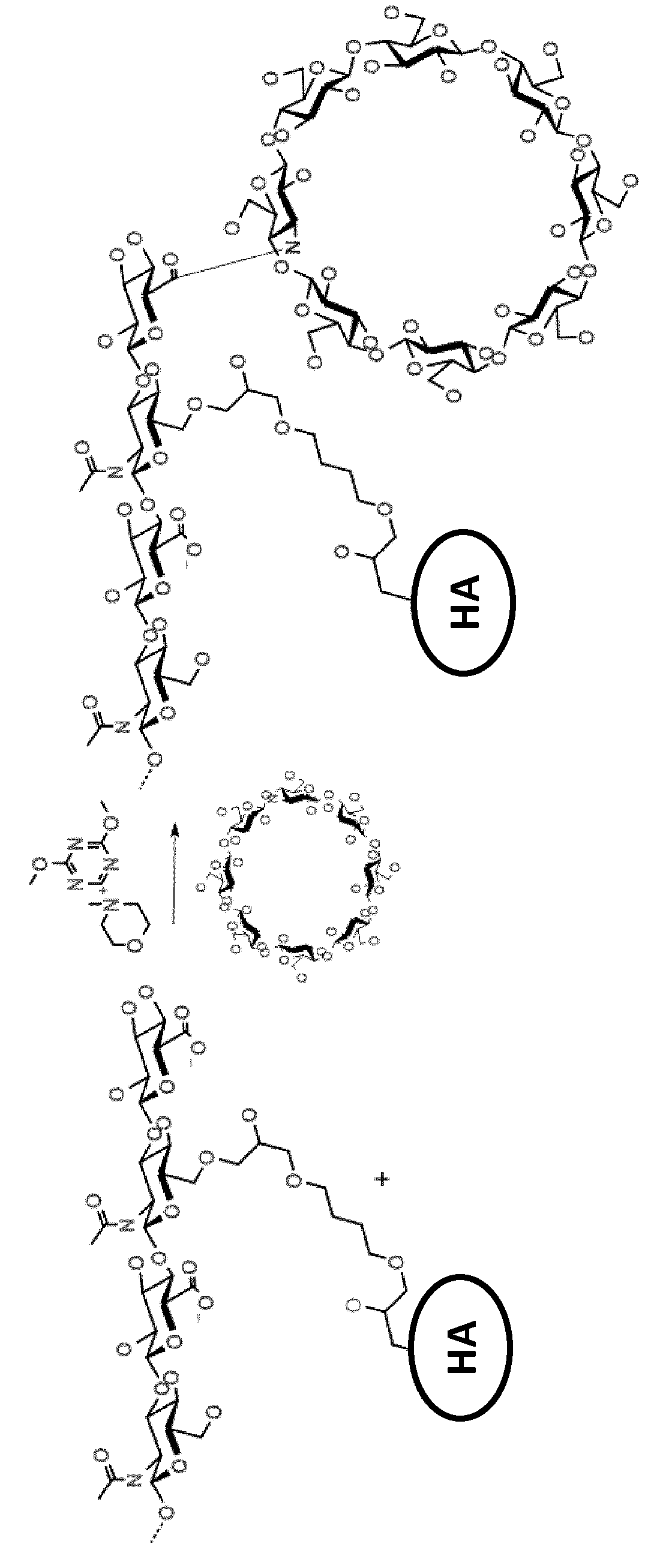 Grafting of cyclodextrin by amide bonds to an ether cross-linked hyaluronic acid and uses thereof