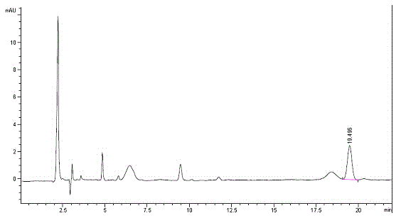 Method for performing pre-column derivation high performance liquid chromatography chiral resolution on DL-menthol by using chiral derivation reagent