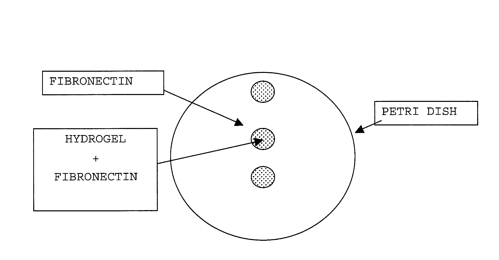 Cellulose derivative and method for production thereof