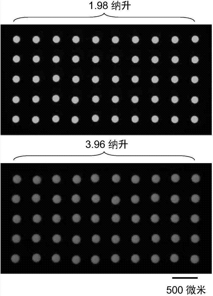 Semi-contact under-oil continuous droplet sample applying and liquid adding method