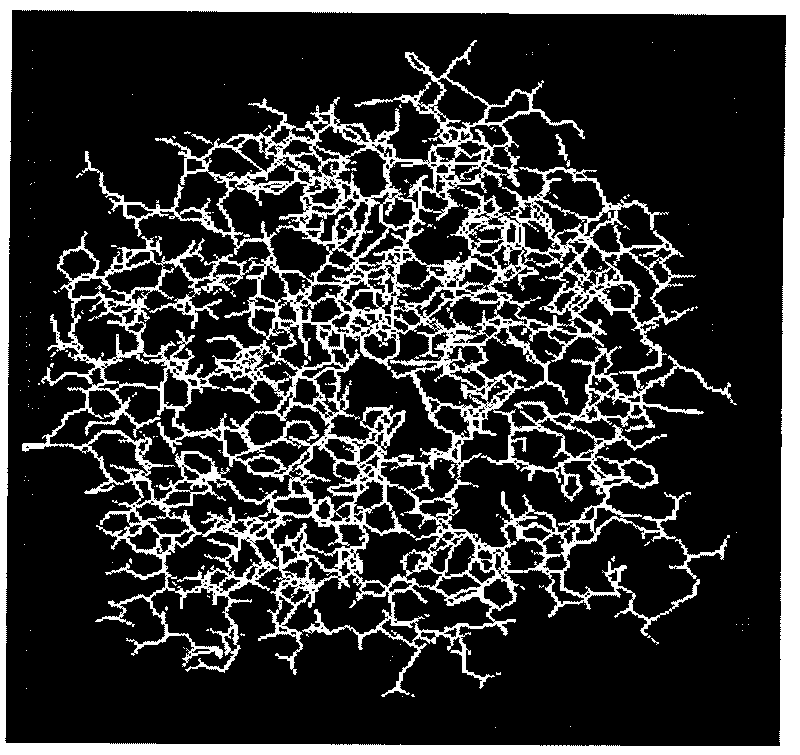 Cellulose orthogenesis method of ampullaria crossean