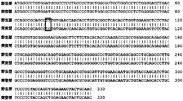 Signal peptidase inhibitor F25P preproinsulin and application thereof to preparation of tumor treatment medicine