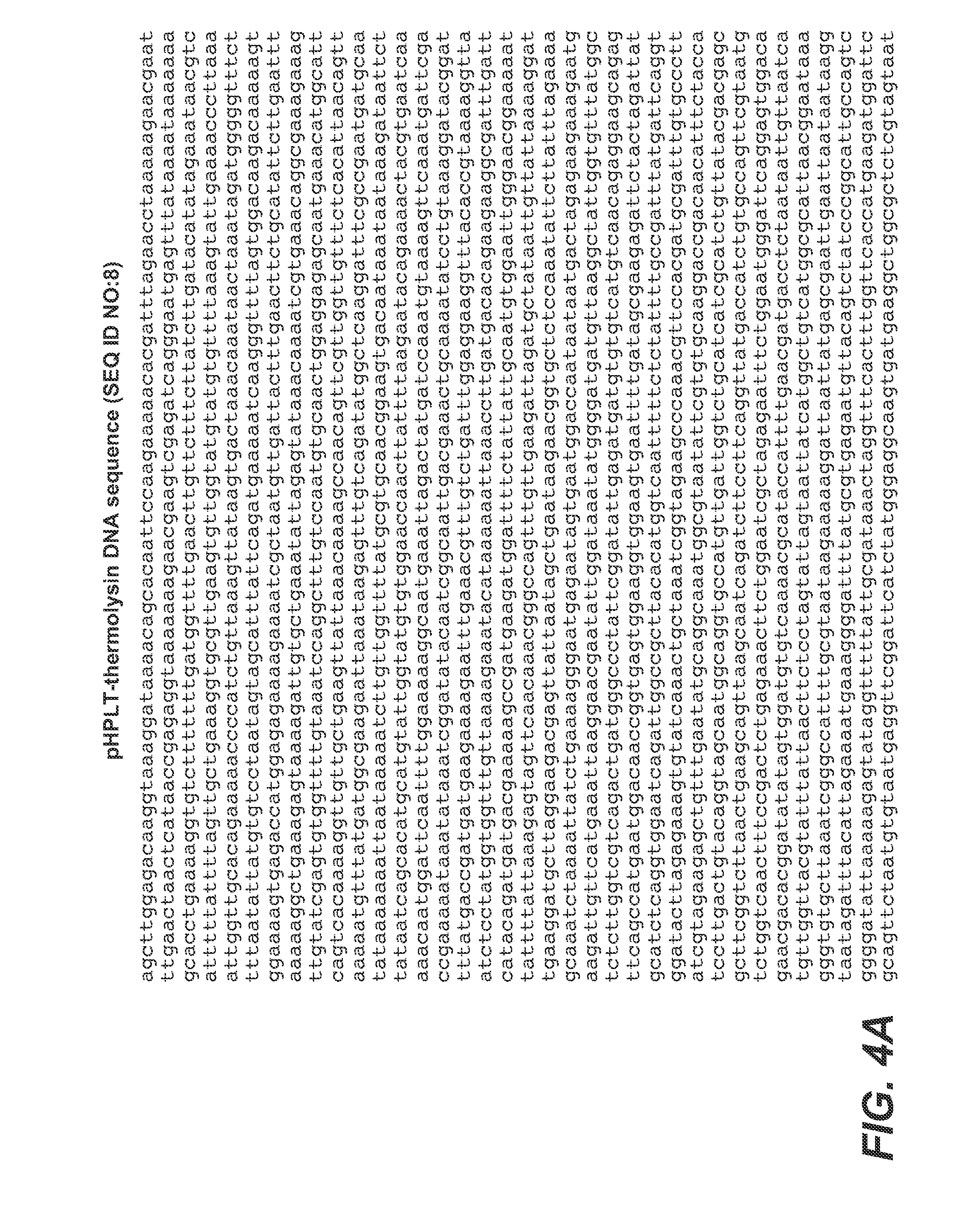 Thermolysin variants and detergent compositions therewith