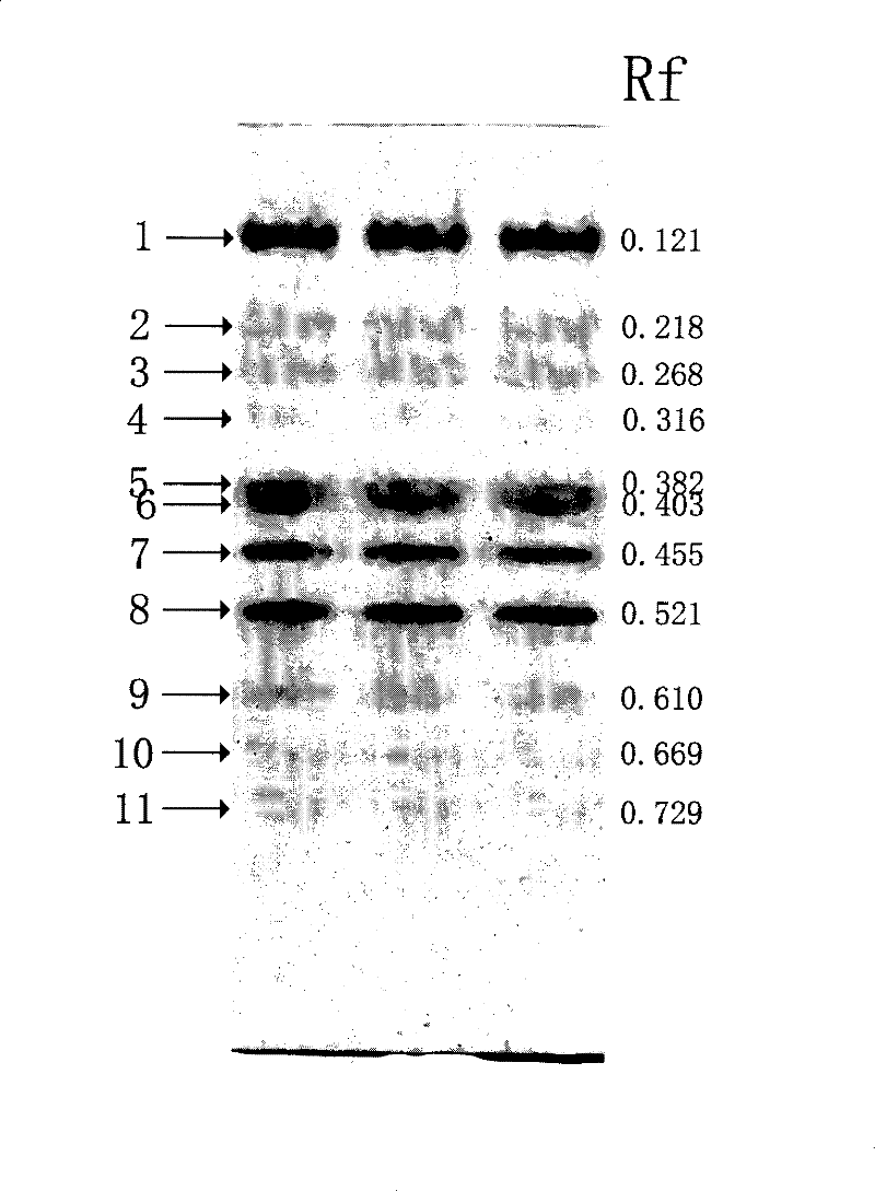 Aromatic mushroom spawn and method for producing aromatic mushroom with the same