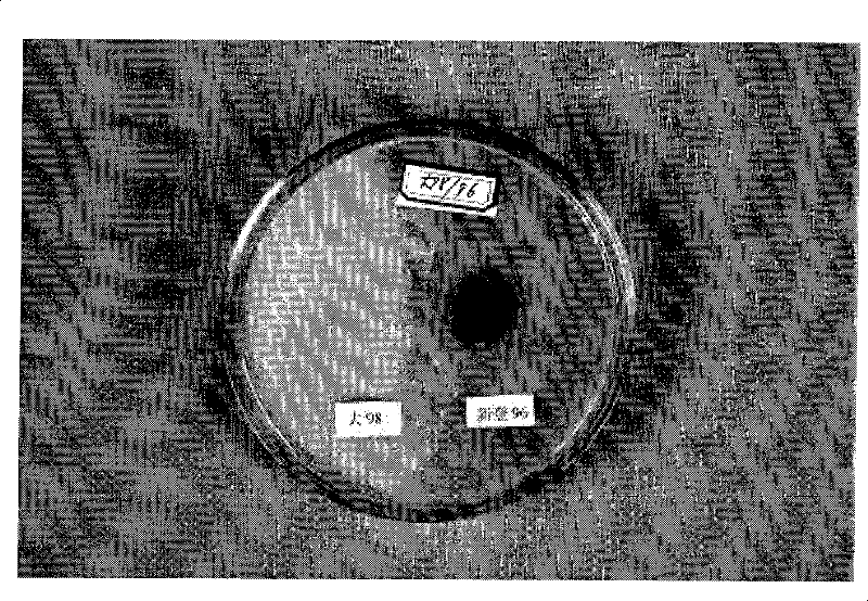 Aromatic mushroom spawn and method for producing aromatic mushroom with the same