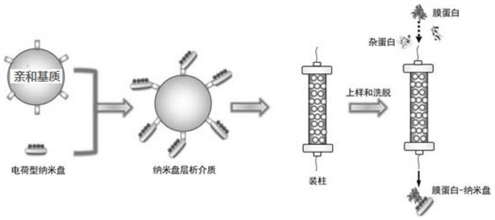 A kind of phospholipid nano disc chromatography medium and its preparation method and application