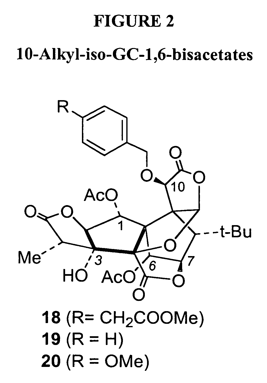 Synthesis of derivatives of ginkgolide C