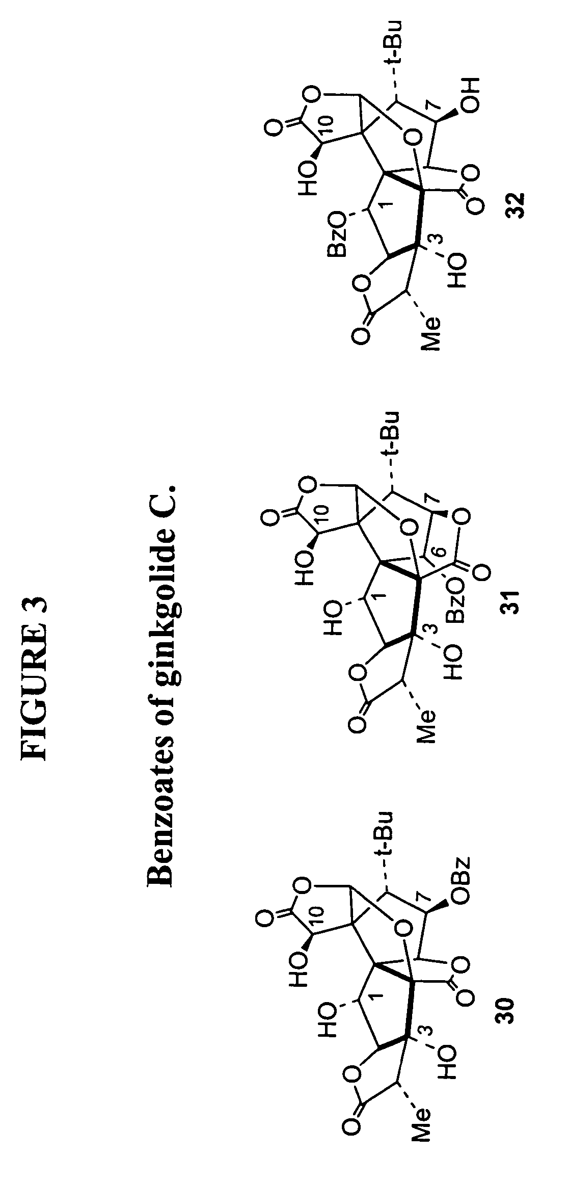 Synthesis of derivatives of ginkgolide C